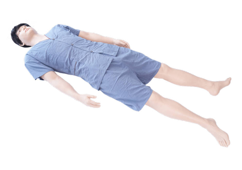 中医技能实操模拟人